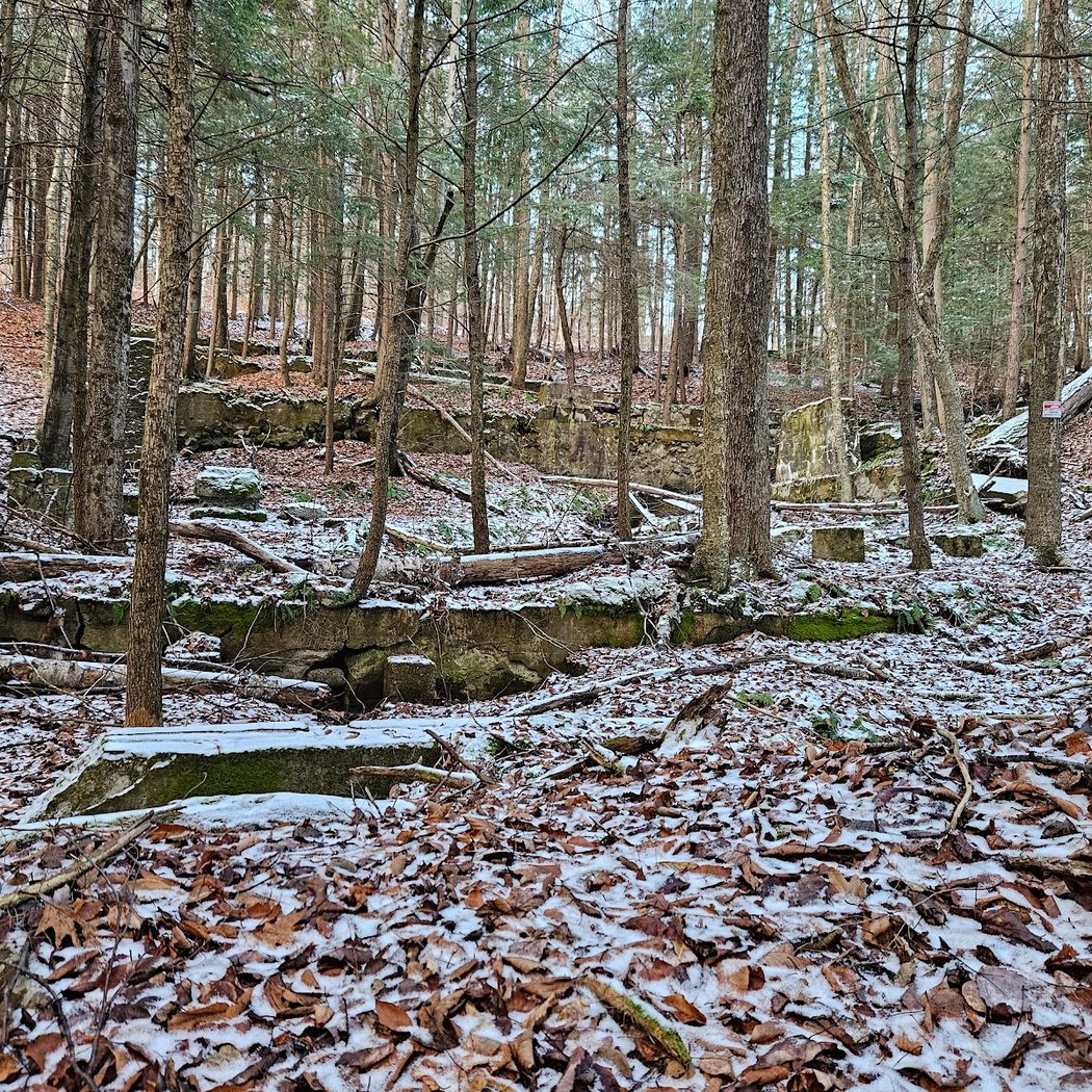 Graphite Range Community Forest 3