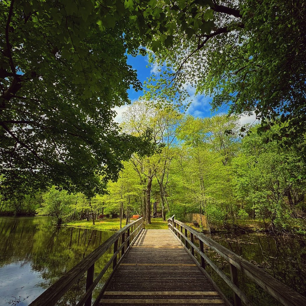 Caleb Smith State Park Preserve 1
