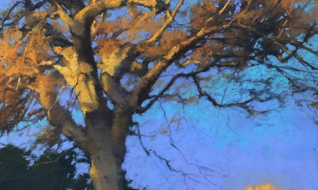 Terri Ford: Solo Exhibition