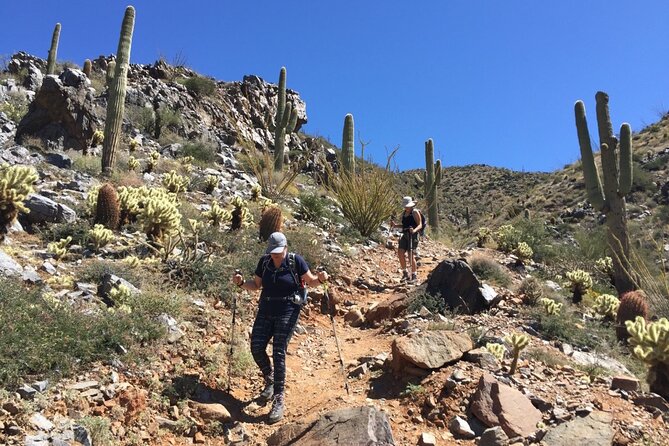 Scottsdale Desert Classic Guided Hiking Adventure 2
