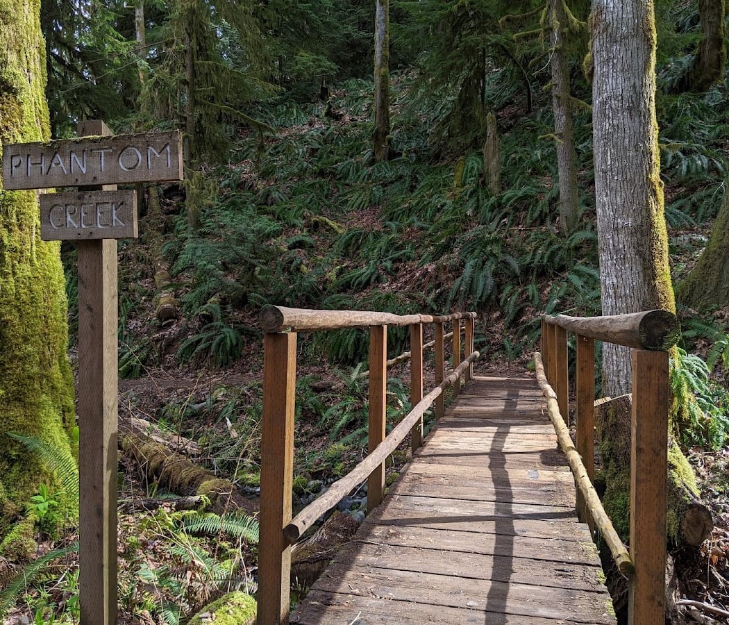 Dosewallips State Park 4