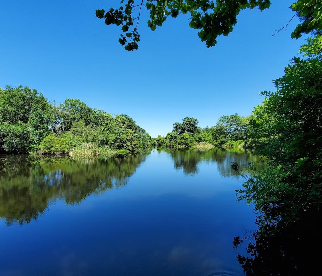 Armand Bayou Nature Center 1