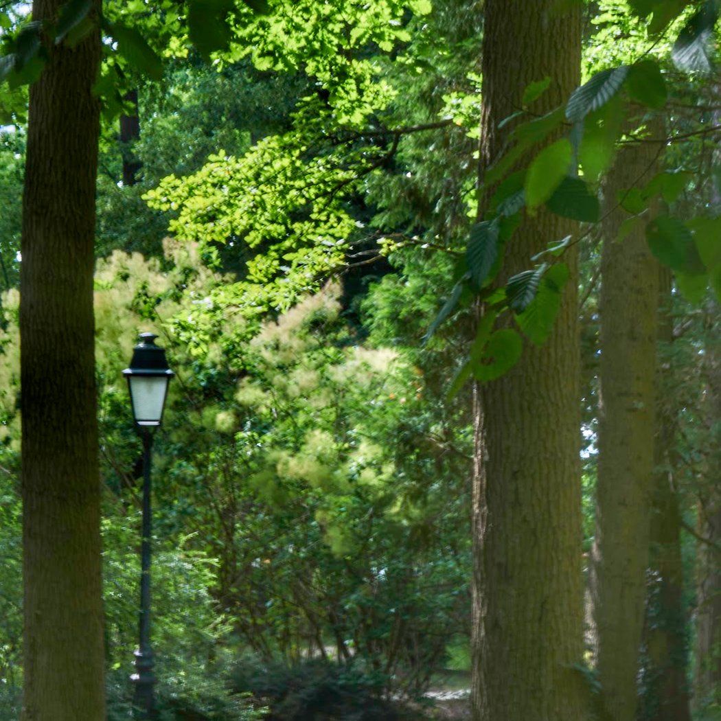 PARC SAINT PIERRE 1