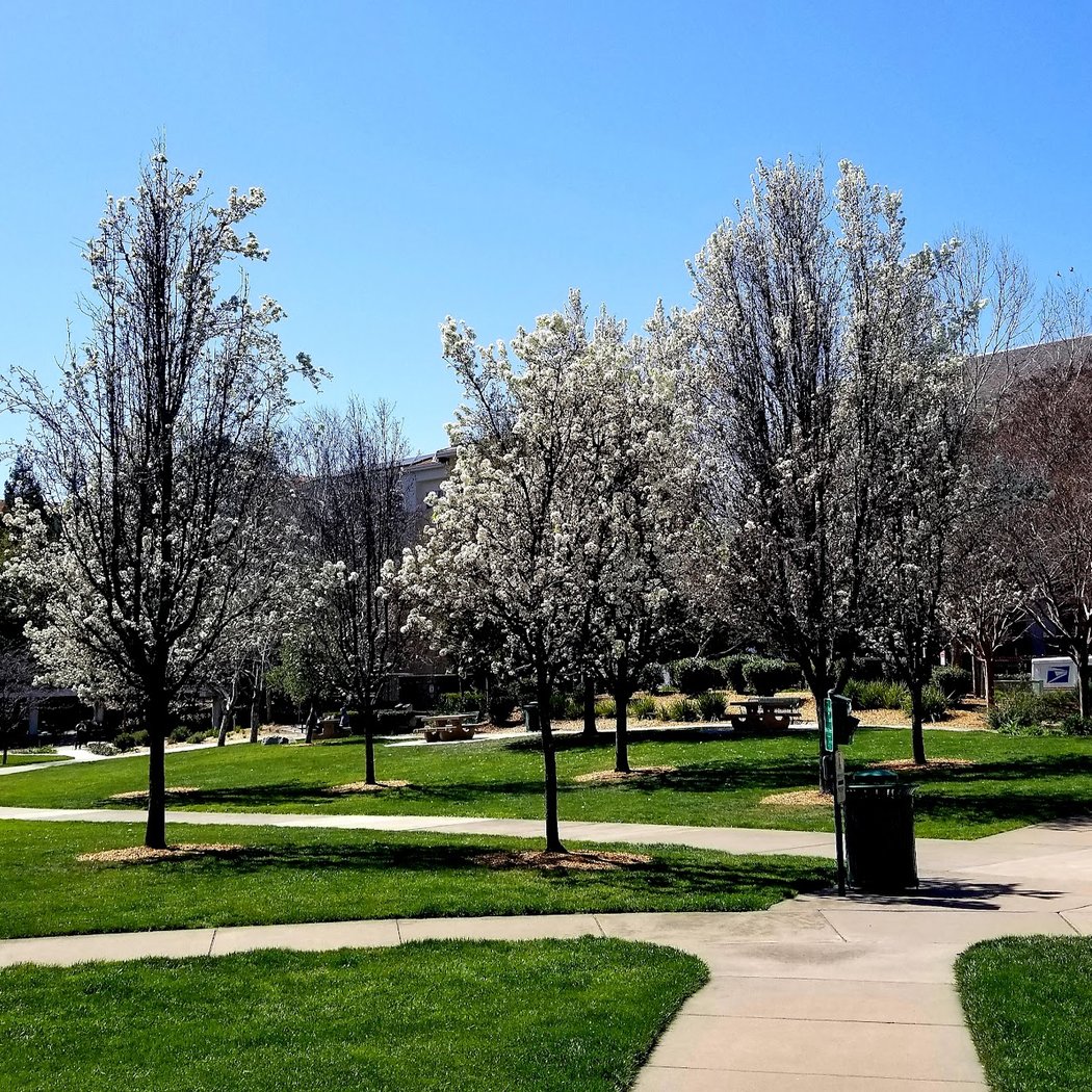 Alma Park 1