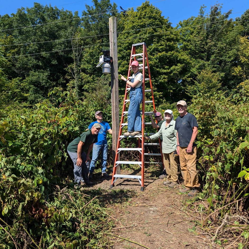 TREES Crew Restoration Session 2