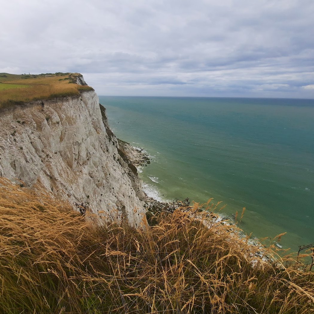 Parc naturel régional des caps et marais d'Opale 1