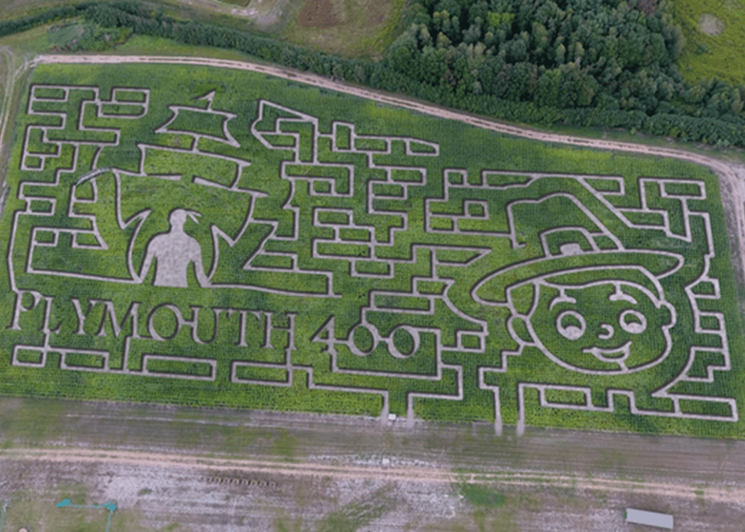 Sauchuk's Corn Maze & Pumpkin Patch 3