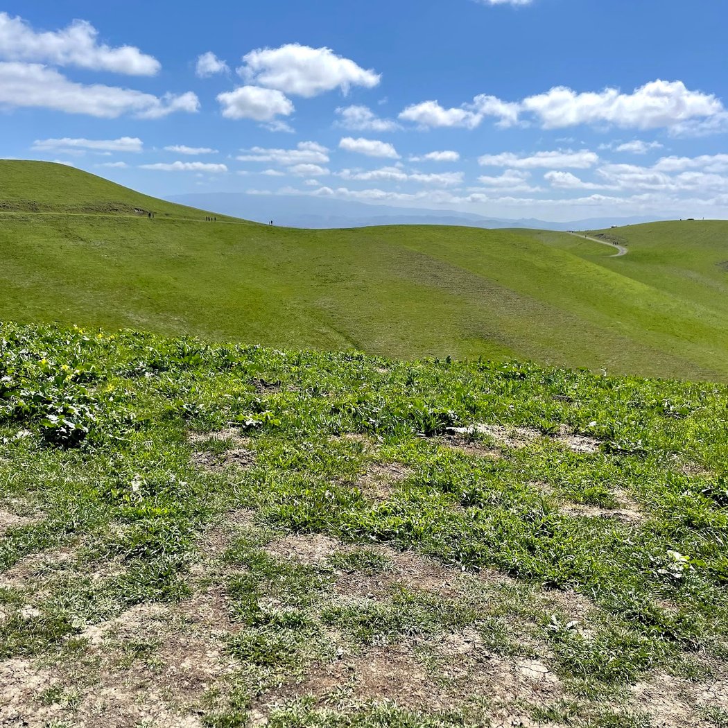Tassajara Ridge Staging Area 3
