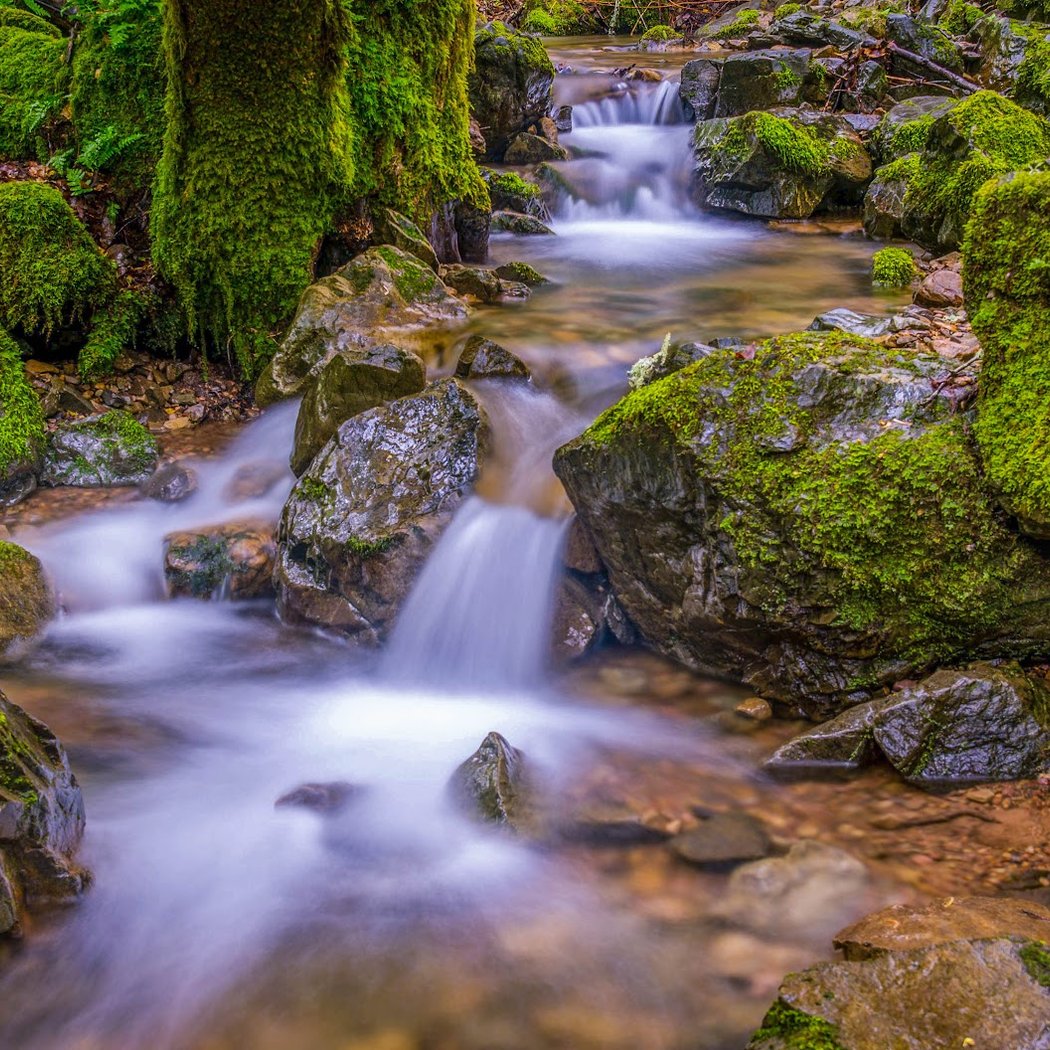 Buck Gulch Falls Trail 1