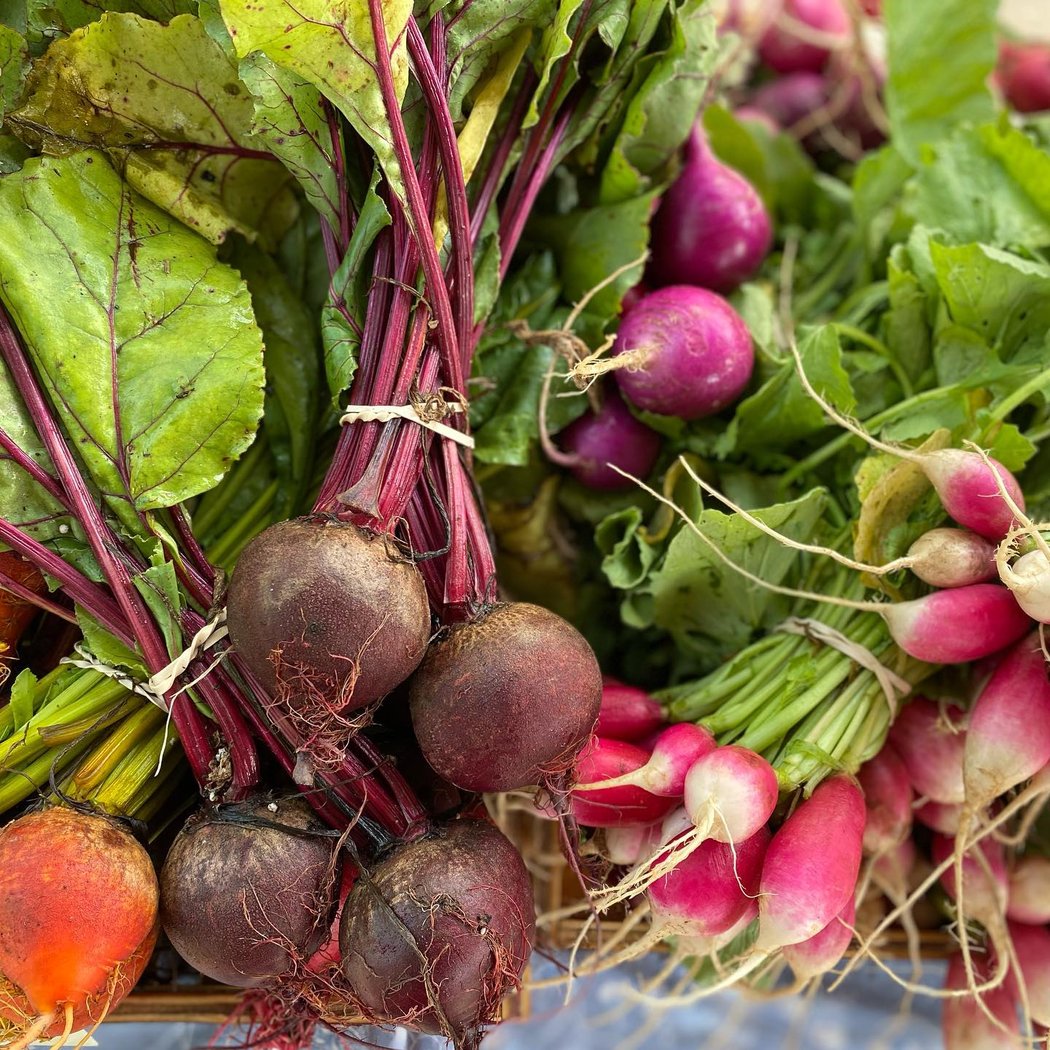 Good Neighbor Farm 1