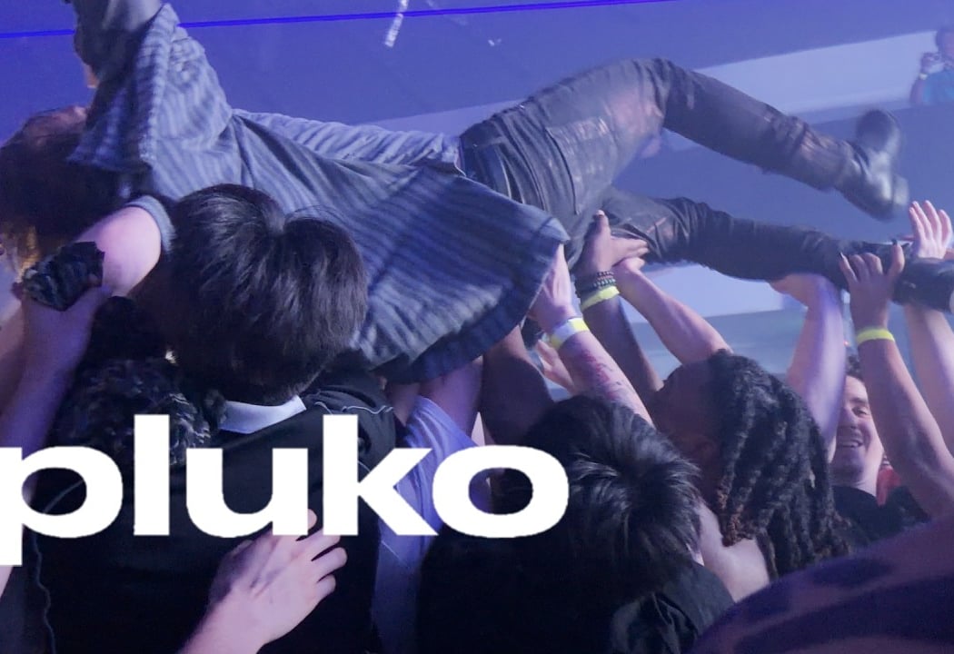 Pluko 1