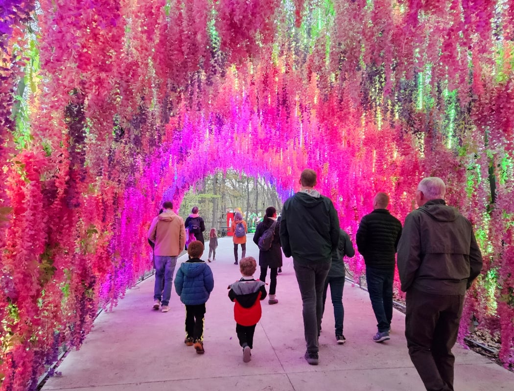 Grand Rapids Lantern Festival 1