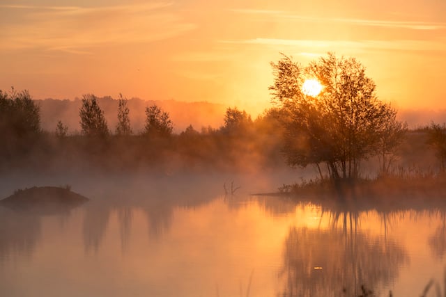 Réserve naturelle régionale du Grand-Voyeux (Pêche strictement INTERDITE) 1