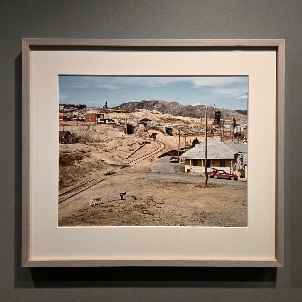 Winter 2026 Exhibitions Tour 1