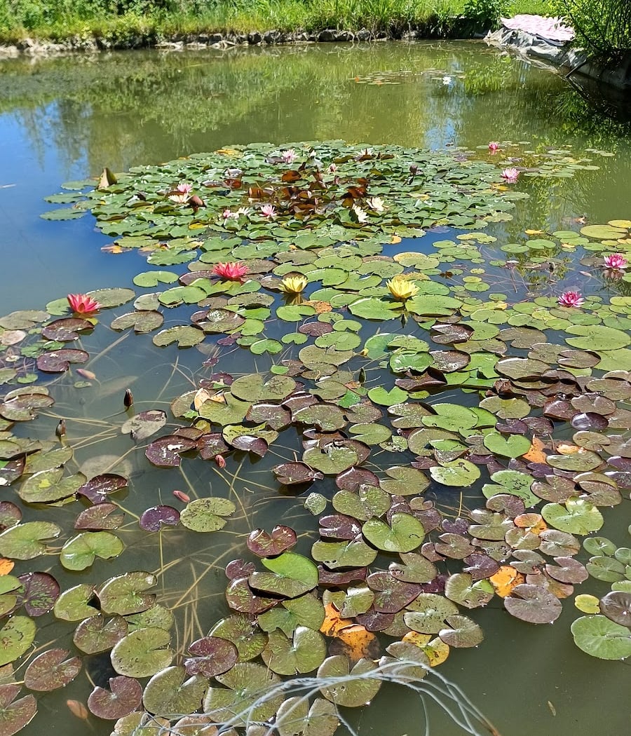Les Jardins de Lornay 2