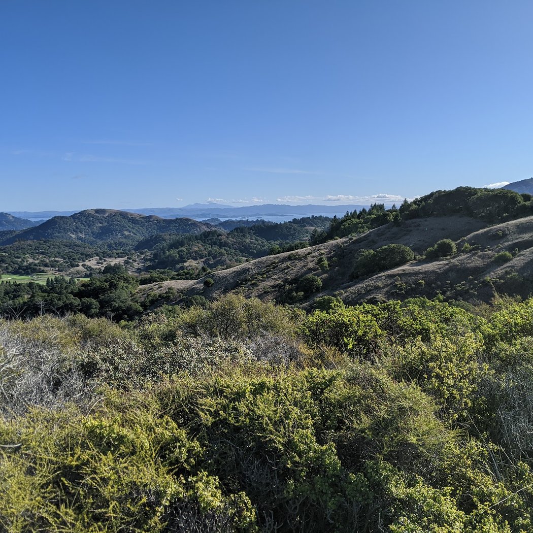 Mount Tam Watershed Trailhead 1
