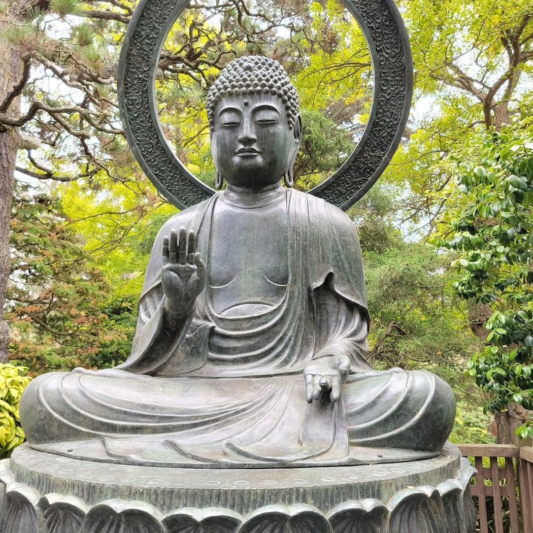Golden Gate Park: Mid Park Ramble Hidden Gems, Rarely Visited 1