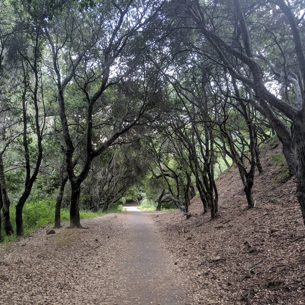 Montclair Railroad Trail 3