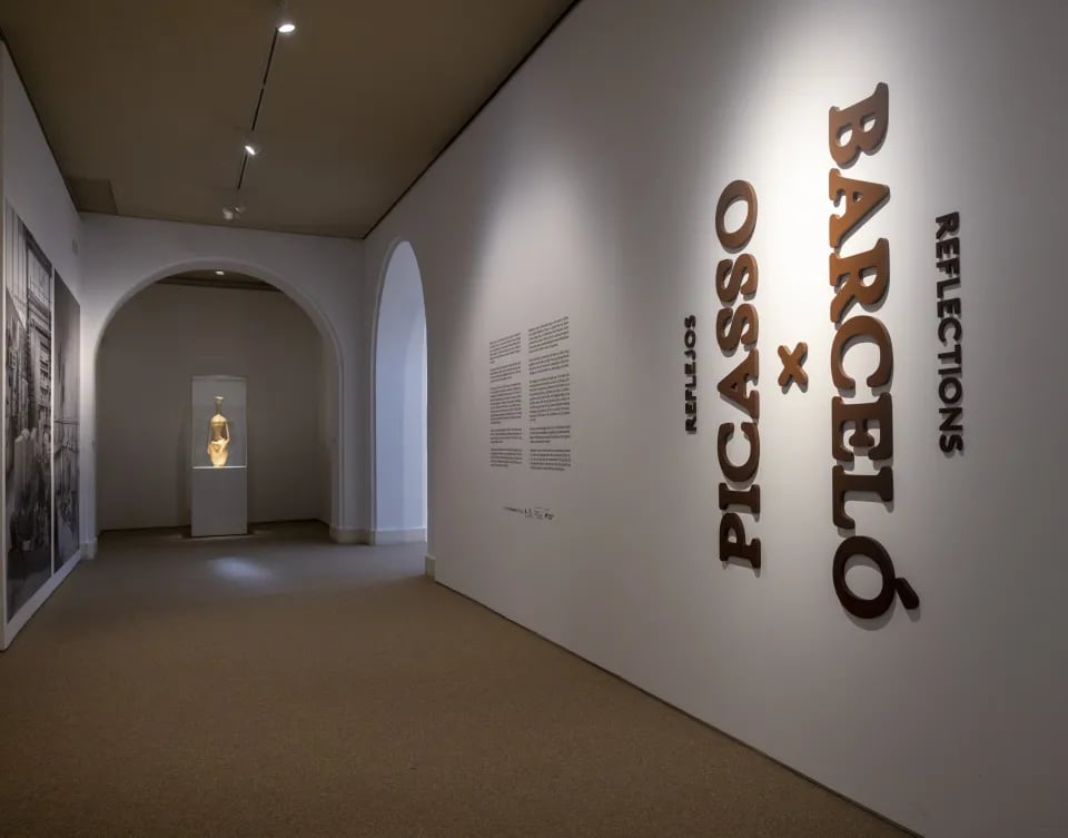 Reflejos. Picasso x Barceló 1