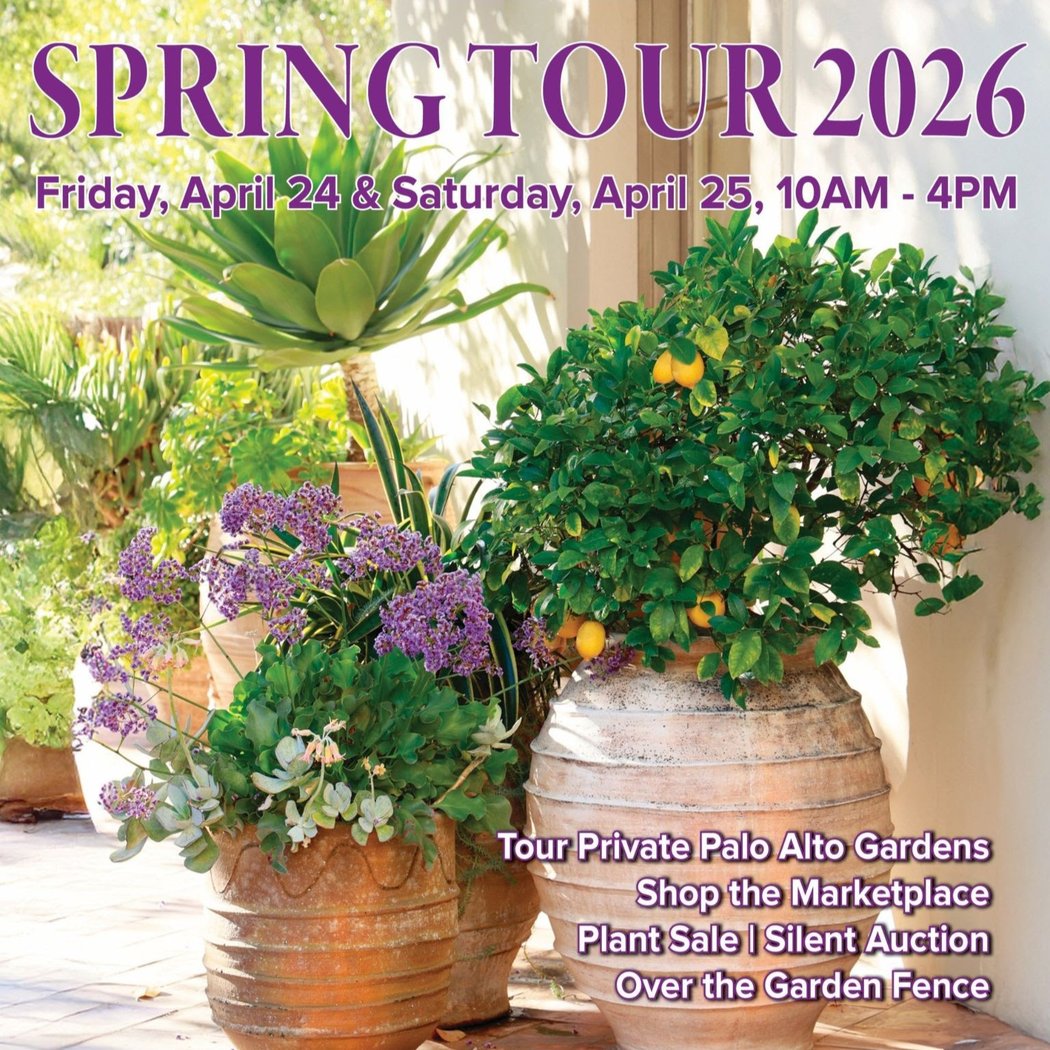 Spring Tour 1