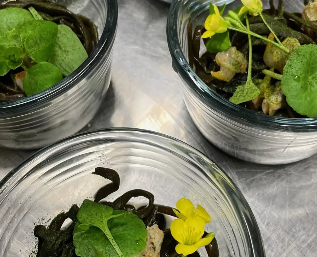 Atelier Algues et Plantes Sauvages 1