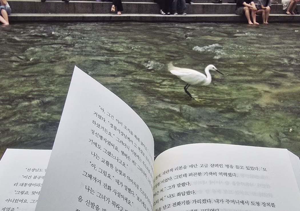 Seoul Outdoor Library 1