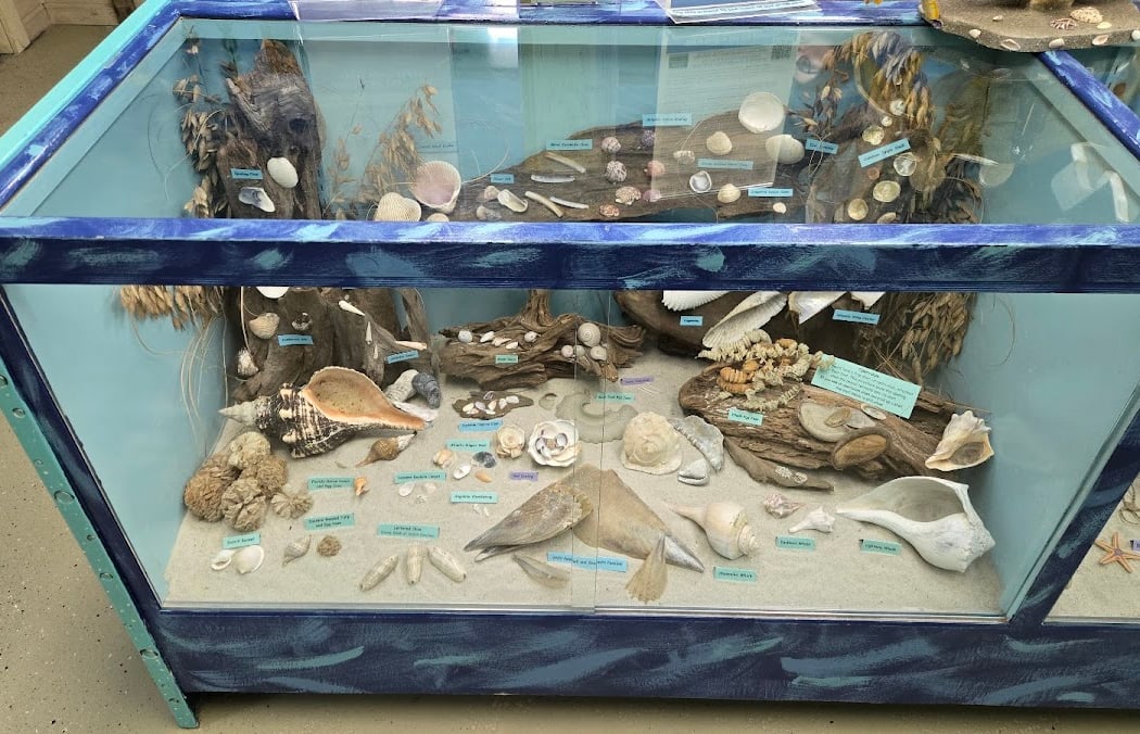 Nature Center 3