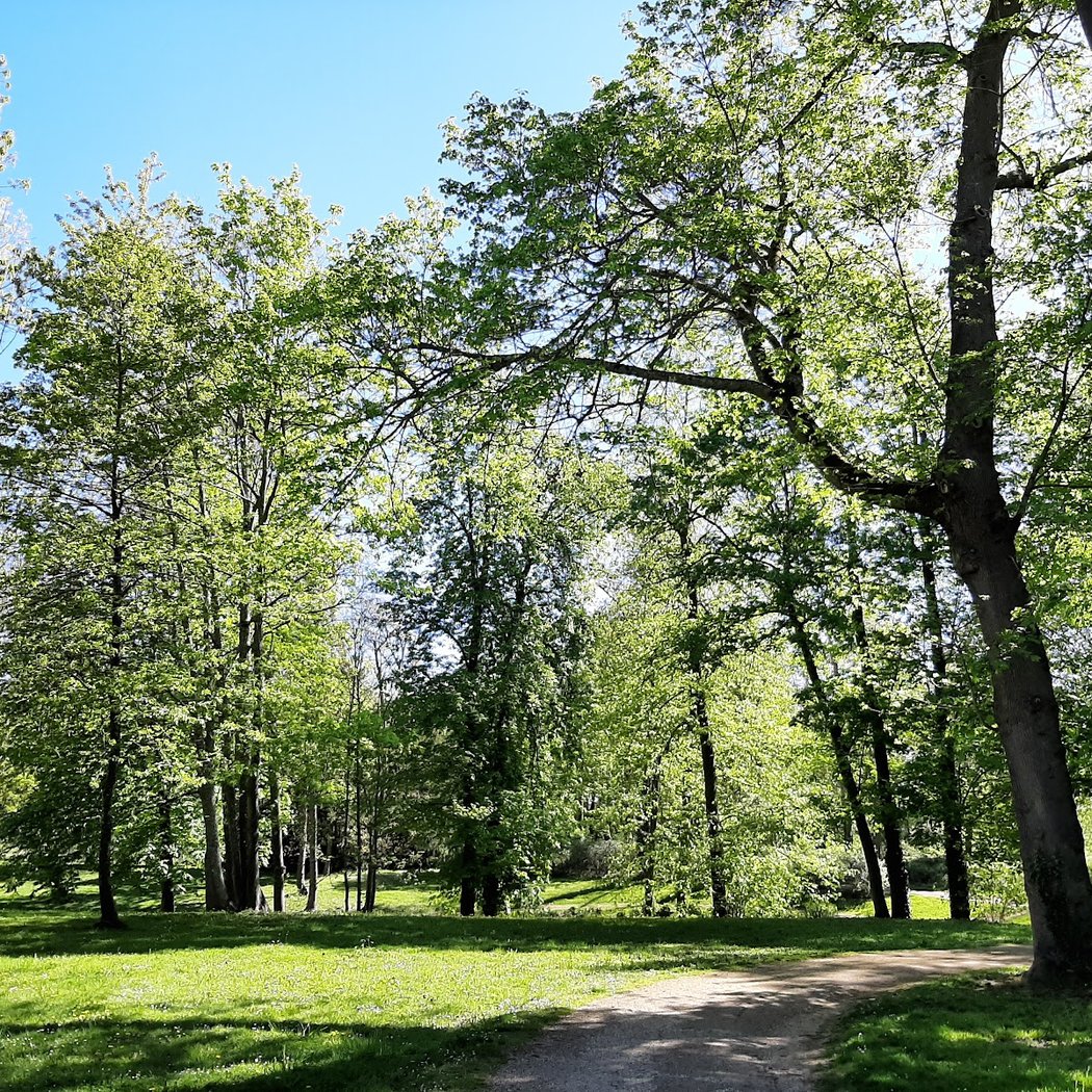 Chasse aux œufs de Pâques 2