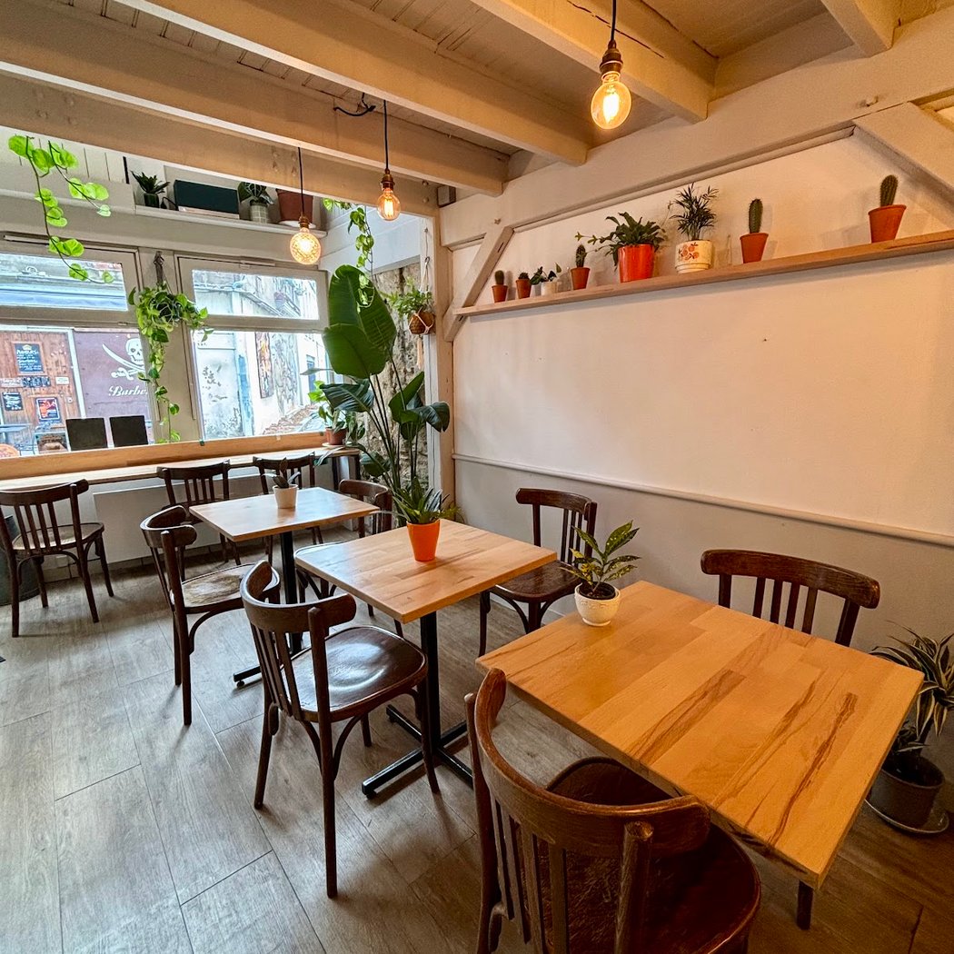 café bouture 4