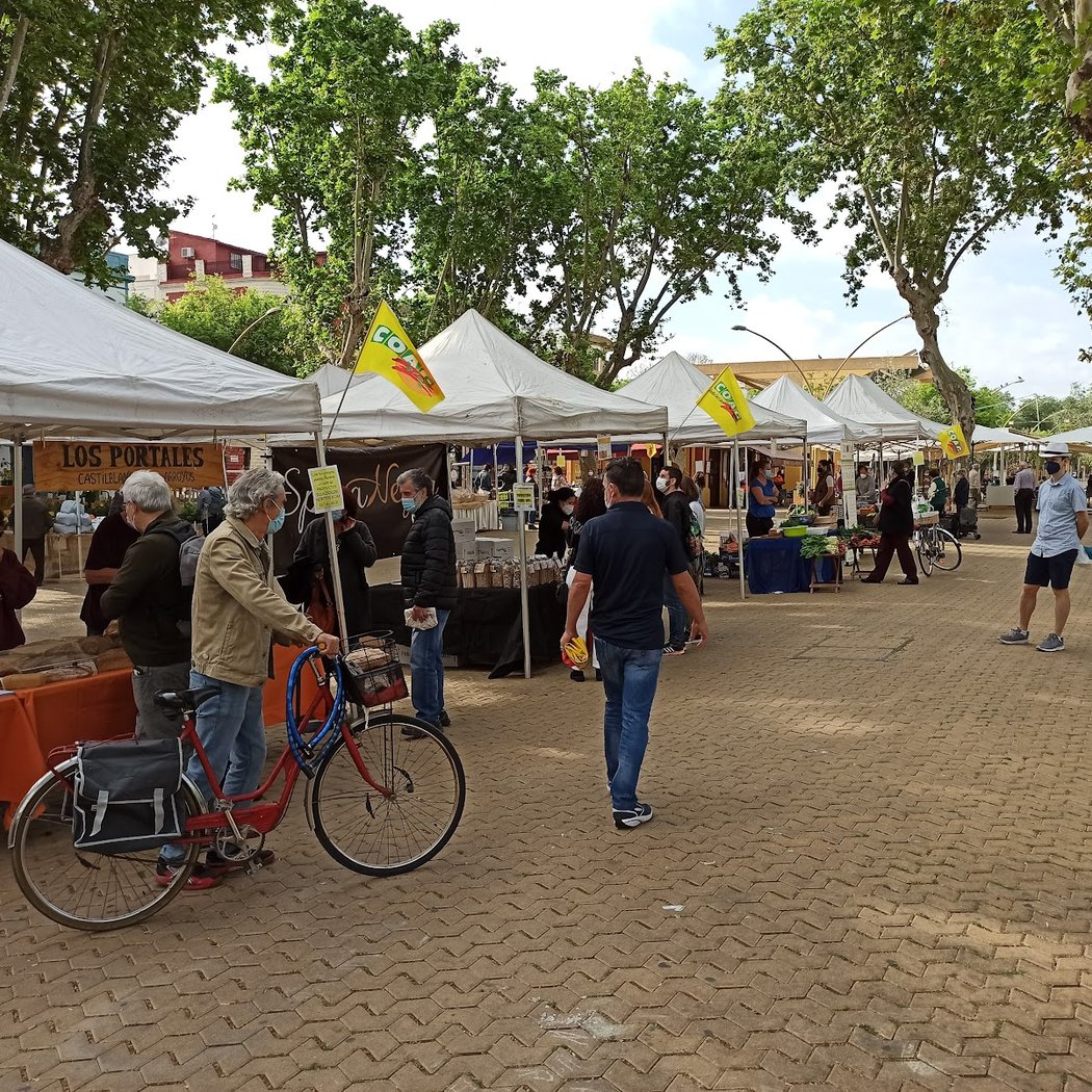 MERCADO DE PRODUCTORES ECOLÓGICOS Y LOCALES 2