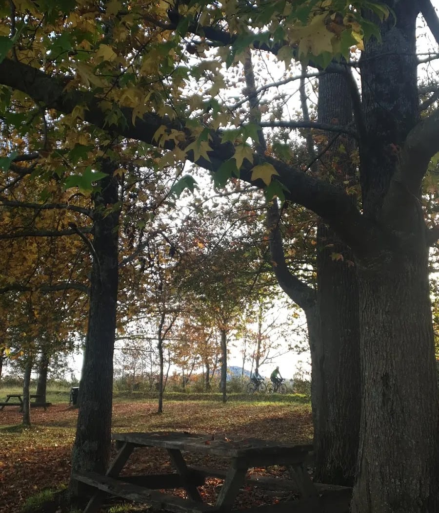 Forêt d'Ustaritz 4
