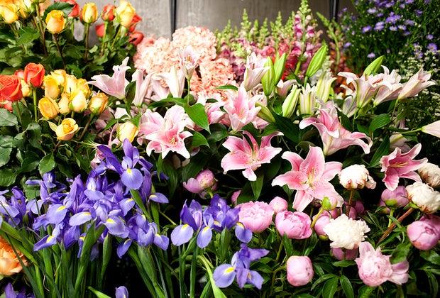 Flower District 1