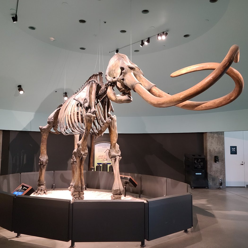 KCRW Summer Nights With La Brea Tar Pits 1