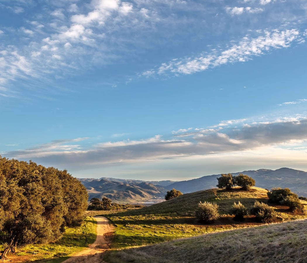 Pleasanton Ridge 1