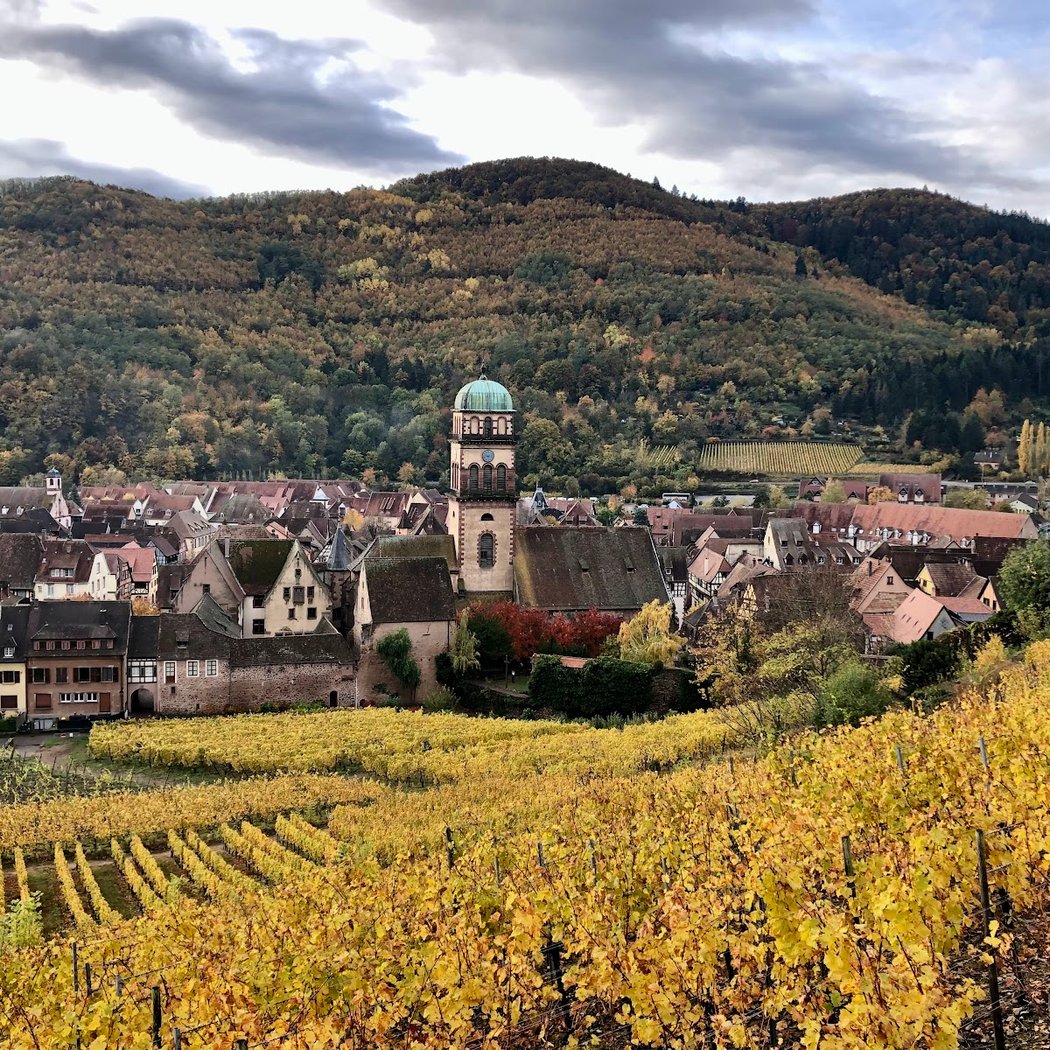 Château de Kaysersberg 1