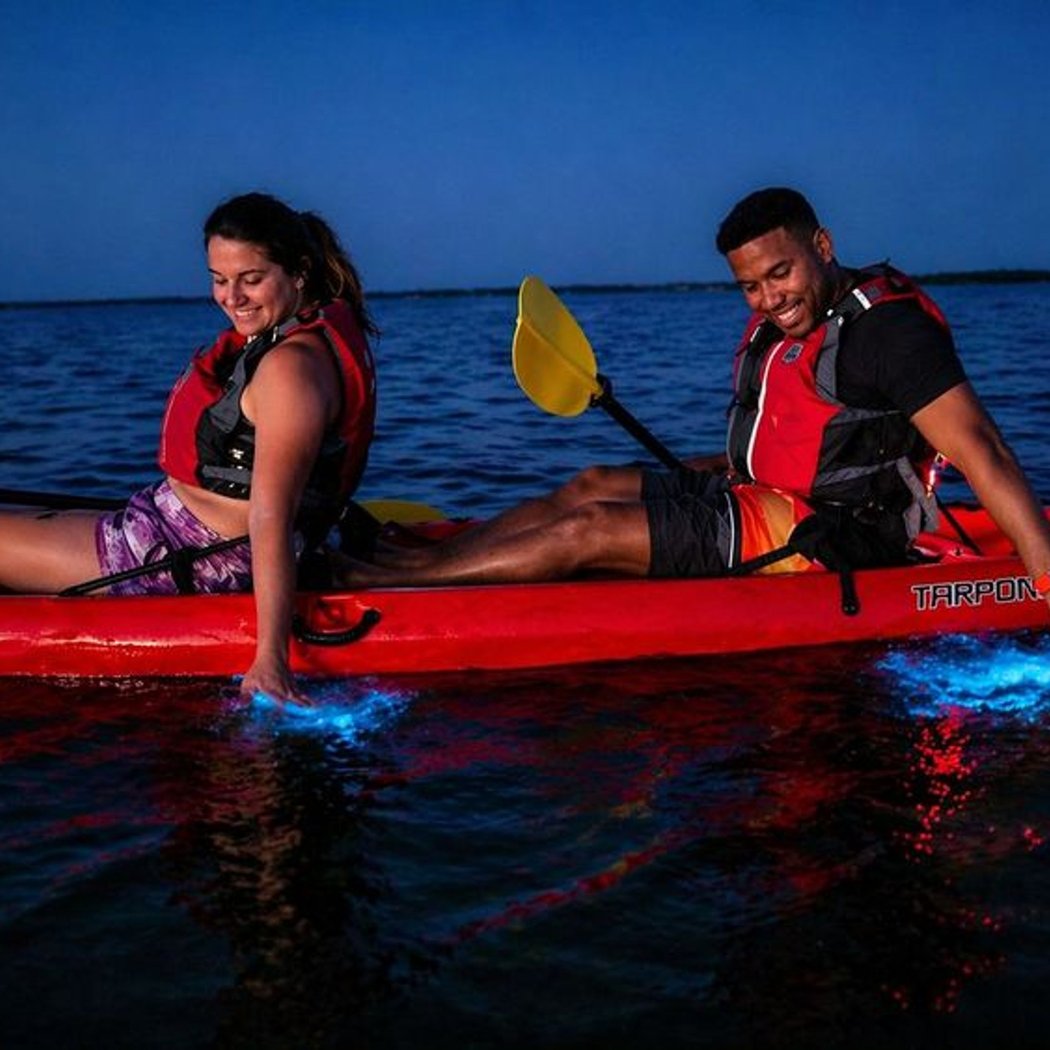 Magic After Dark Bioluminescence Kayak Tour 1