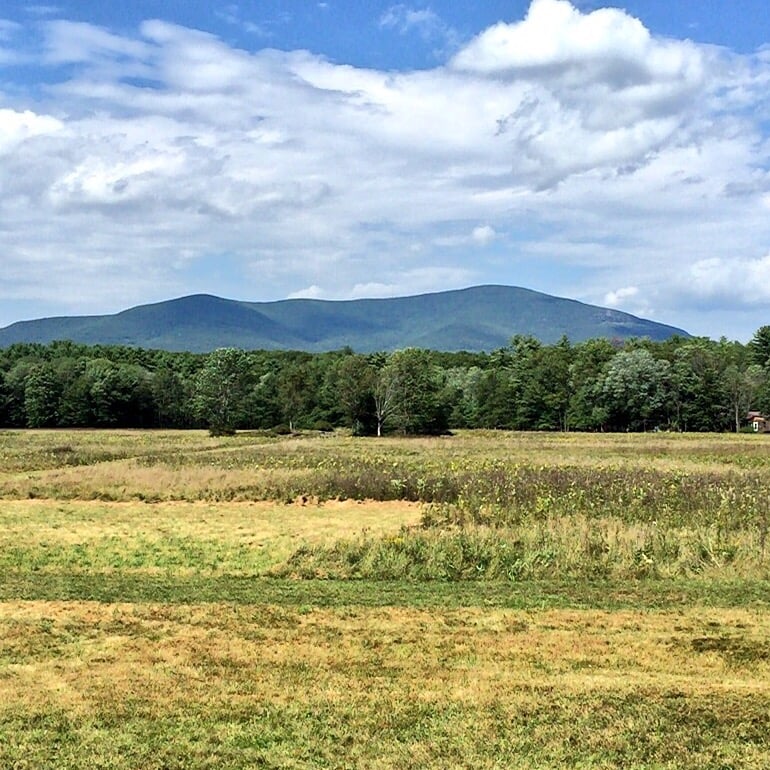 Thorn Preserve - Catskill Center 3