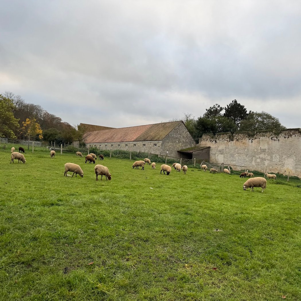 Atelier pain et animaux 2