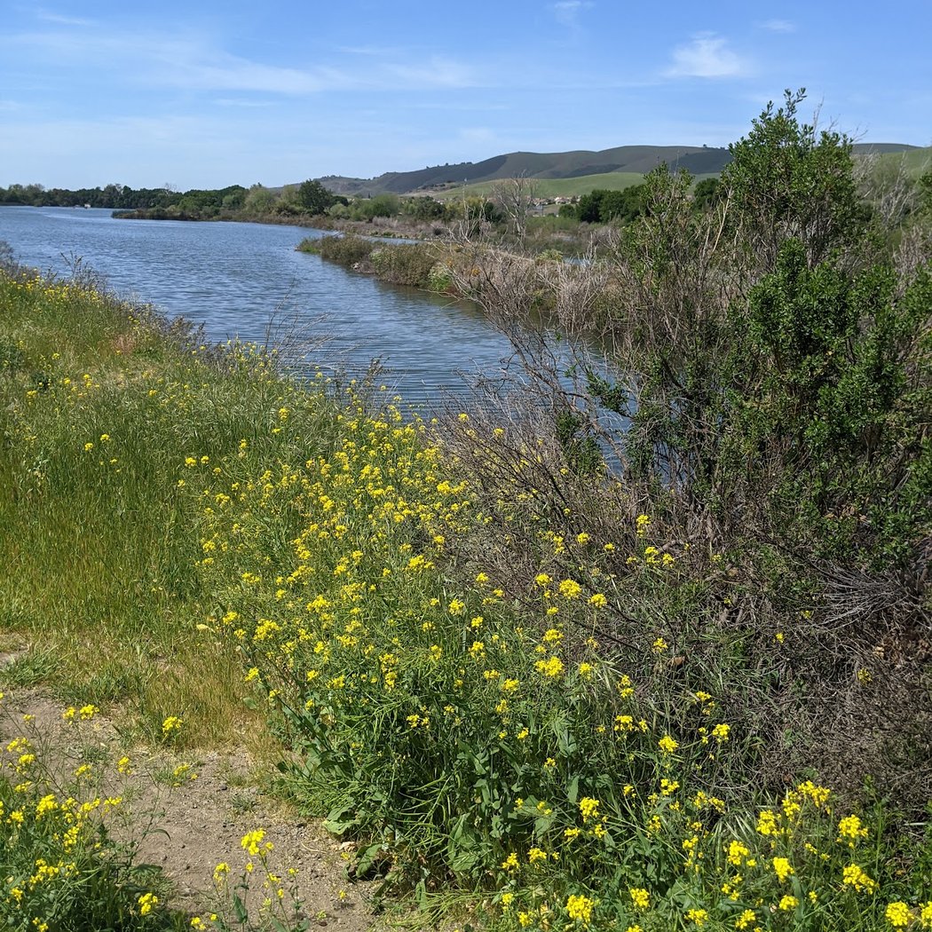Coyote Creek Trail 1