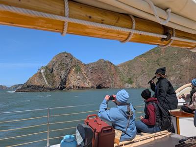 Wildlife Sail under the Golden Gate Bridge 2
