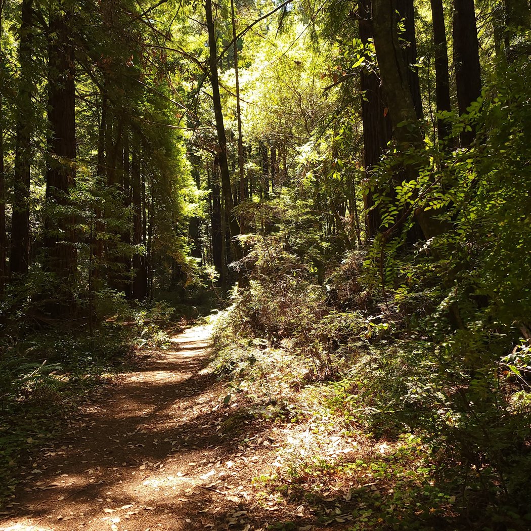 Take A Hike Challenge 2025 2