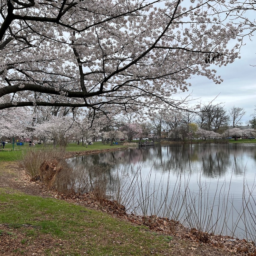Warinanco Park 1