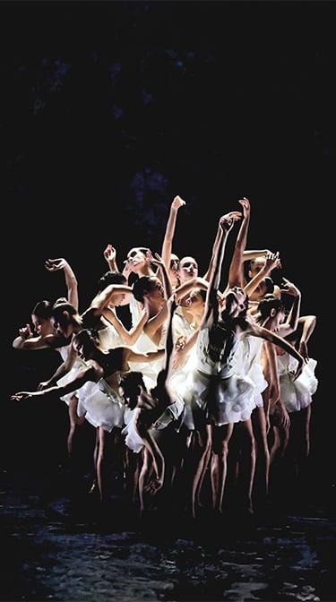 BALLET PRELJOCAJ : LE LAC DES CYGNES 1