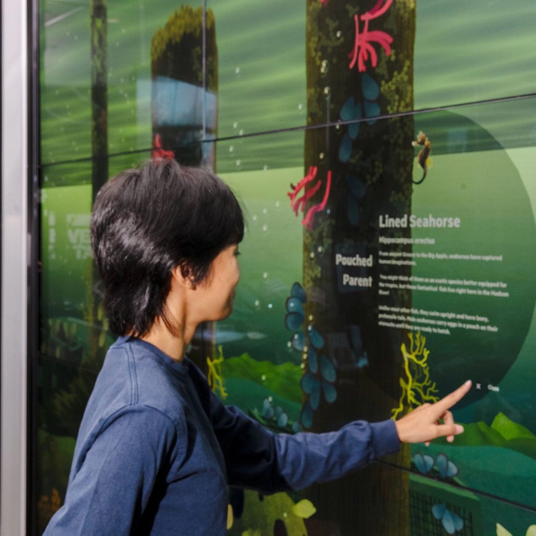 Guided Gallery 1