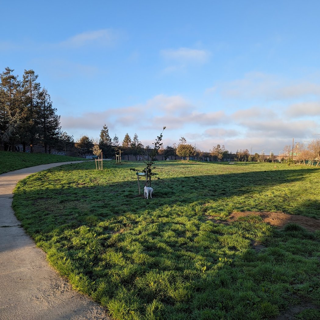 Lower Bottoms Park 3