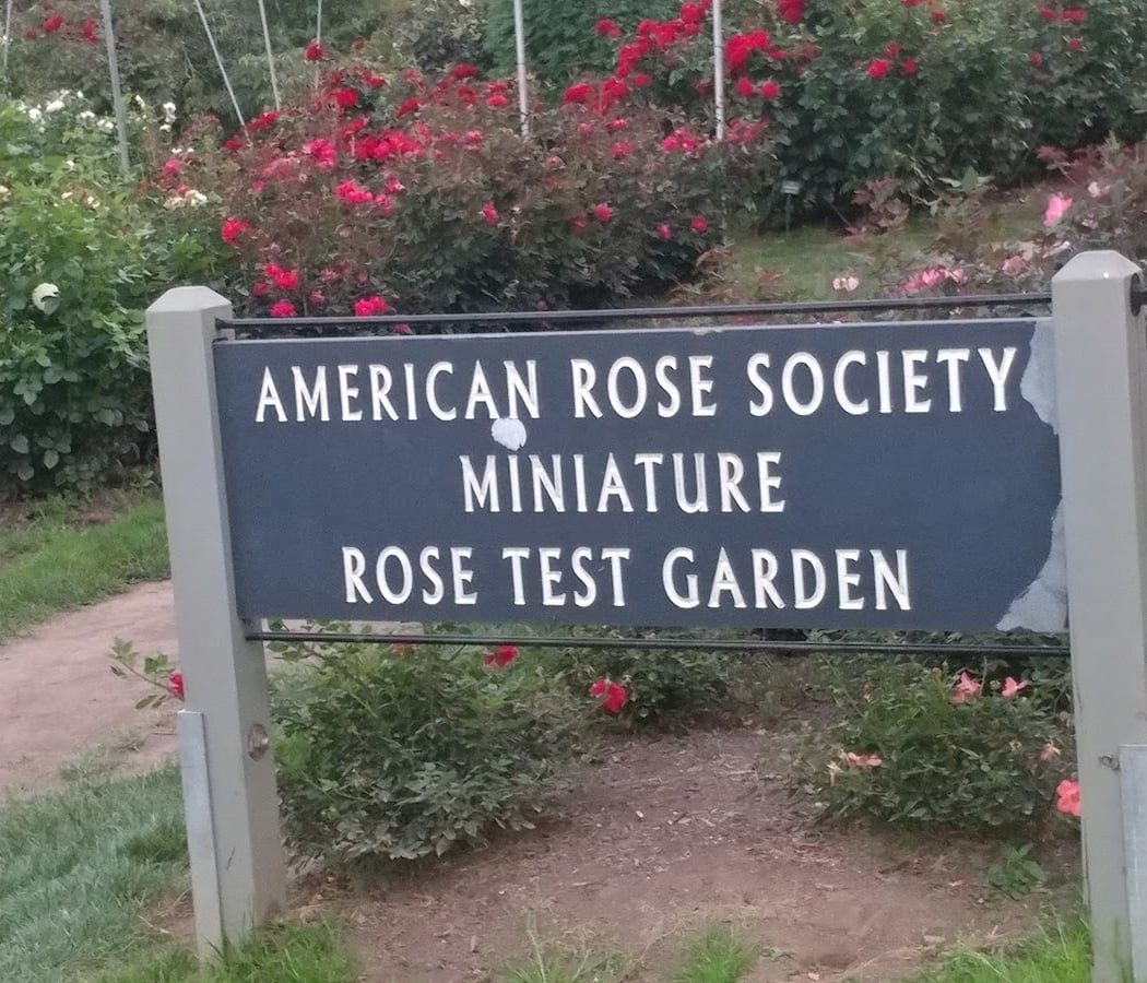 Rose City Park 3