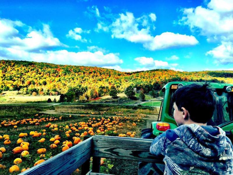 Meadowbrook Farm 2