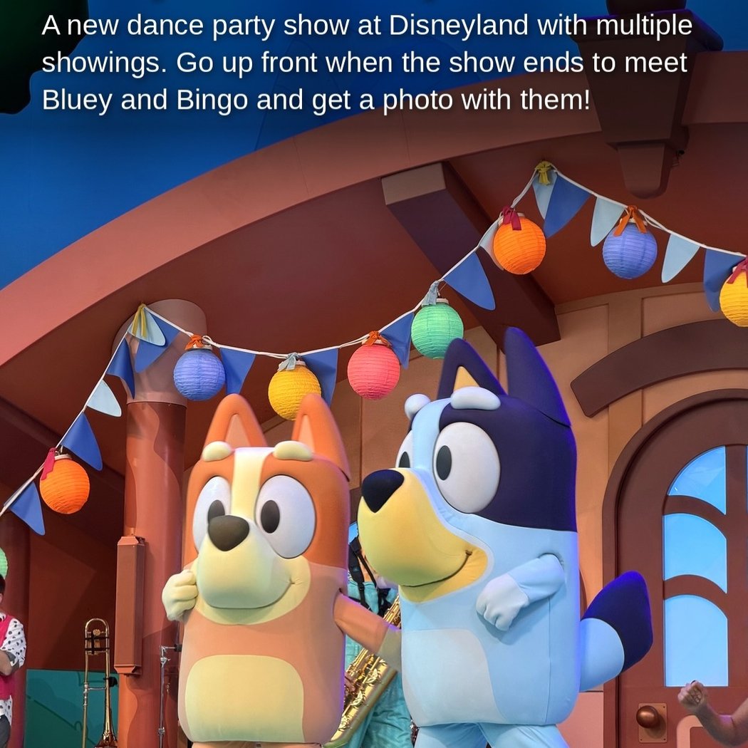 Bluey’s Best Day Ever