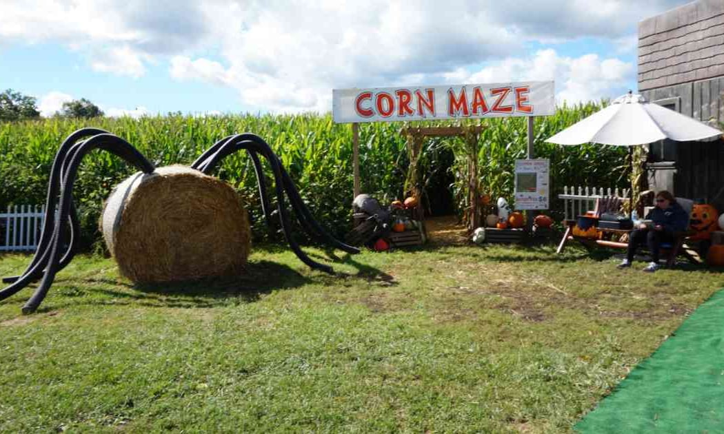 Corn & Pumpkin Weekend 3