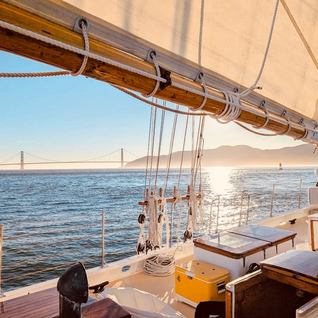 Wildlife Sail under the Golden Gate Bridge 2